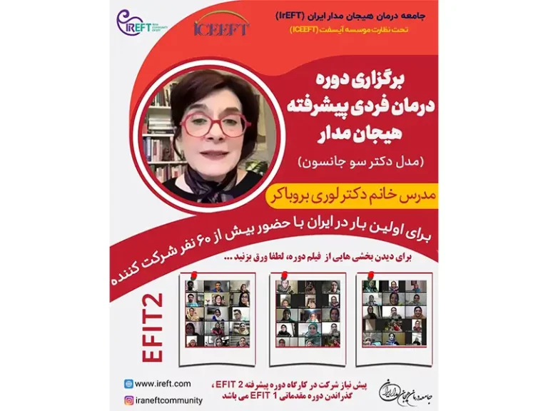 برگزاری دوره درمان فردی پیشرفته, مدل دکتر جانسون (EFIT2)